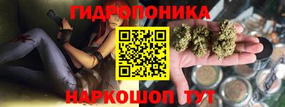 дживик Кунгур
