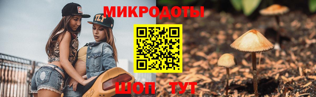 Псилоцибиновые грибы ЛСД Иваново